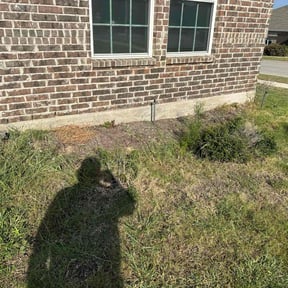 Flower Bed Weeding by Fast Pace LLC reviewed on June 22, 2022