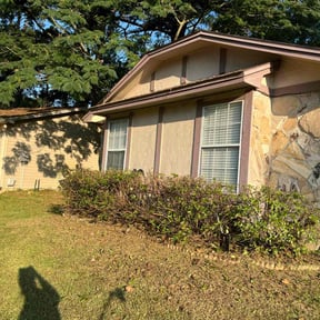 Bush Trimming by Them Joneses reviewed on March 3, 2025