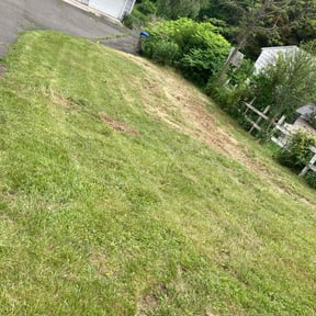 Flower Bed Weeding by Supreme lawn king SLK reviewed on July 16, 2022