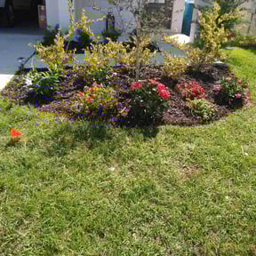 Landscaping by Clean cut maintence reviewed on June 6, 2022