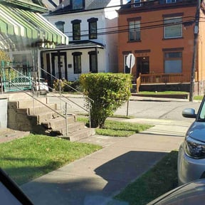 Bush Trimming by DeGore Landscaping reviewed on July 3, 2024