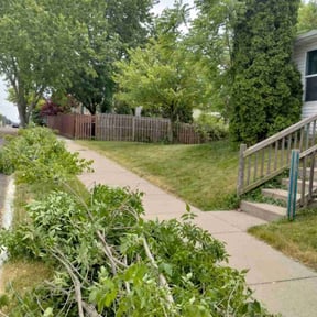 Bush Trimming by Williamson's Lawn Care and Service reviewed on September 11, 2020