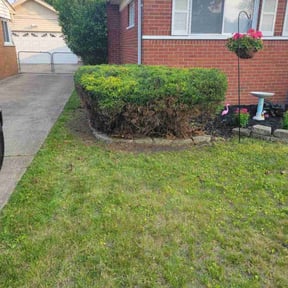 Bush Trimming by C Lawncare Plus reviewed on December 24, 2024