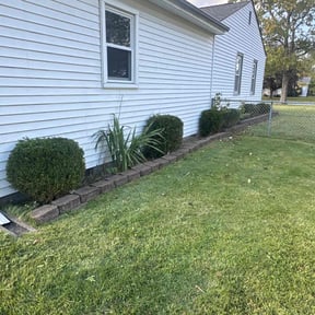Bush Trimming by Tilcco reviewed on June 17, 2022