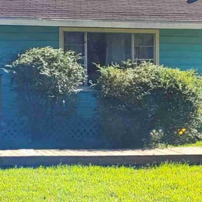 Bush Trimming by Helping Hands LawnCare reviewed on July 7, 2022