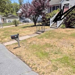 Leaf Removal by Crowder's lawn care reviewed on August 1, 2022