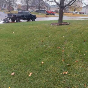 Leaf Removal by J&S Outdoor Maintenance LLC reviewed on July 18, 2022