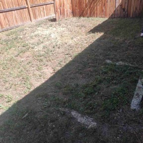 Weeding by High Class Cuts reviewed on July 15, 2022