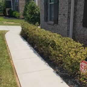 Bush Trimming by LSLTDallas/FortWorthTruGreen reviewed on August 12, 2024