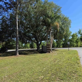 Leaf Removal by Done Right Handyman Services LLC. reviewed on June 25, 2025