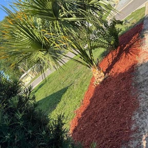 Cleanups by ZKZ Landscape & Design reviewed on November 12, 2024
