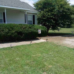 Bush Trimming by Reliable landscapingllc reviewed on July 18, 2022