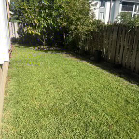 Leaf Removal by Marroquín Landscaping LLC reviewed on August 16, 2024