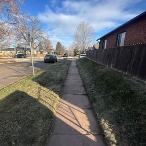 Cleanups by Jr's Landscape reviewed on May 17, 2025