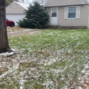 Leaf Removal by All Quality Lawn LLC. reviewed on August 13, 2021