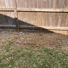 Cleanups by Wyatt's Lawn Care /Bad MowFos reviewed on May 7, 2025