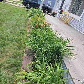 Flower Bed Weeding by Up Cut Lawn Care reviewed on May 4, 2022
