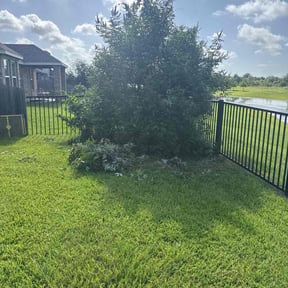 Bush Trimming by Dub's Lawn Care reviewed on December 23, 2024