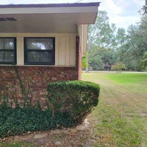 Bush Trimming by Johnson landscaping reviewed on July 11, 2022
