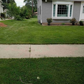 Cleanups by BD's Platinum Lawncare LLC reviewed on May 10, 2022
