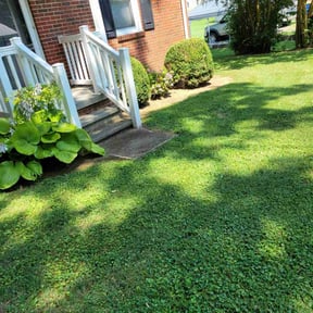 Flower Bed Weeding by Scotton landscaping reviewed on October 30, 2022