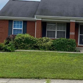 Bush Trimming by Warner construction reviewed on May 13, 2022