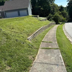 Flower Bed Weeding by Gonzalez Landscaping reviewed on February 19, 2024
