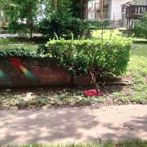 Bush Trimming by Visionary Mowing LLC reviewed on December 21, 2023