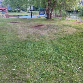 Leaf Removal by Bakers lawn service reviewed on June 27, 2022
