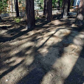 Cleanups by Mow it  &amp; Blow it reviewed on April 18, 2025