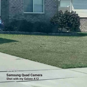 Bush Trimming by Turner Lawn Care and Landscaping, LLC reviewed on March 24, 2022