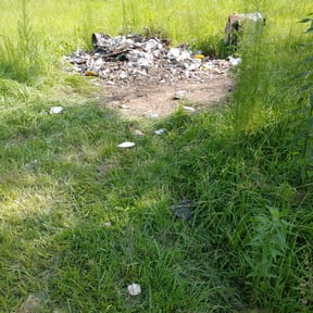 Cleanups by Top Turf L.L.C reviewed on May 28, 2022
