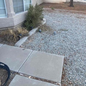 Bush Trimming by First Choice Landscaping of St Augustine reviewed on March 30, 2023