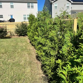 Flower Bed Weeding by Essence of Nature Lawn Care Service reviewed on August 1, 2025