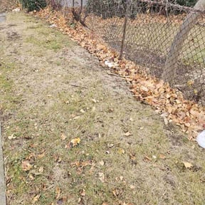 Flower Bed Weeding by Legacy Lawn Services reviewed on May 18, 2022