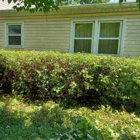 Bush Trimming by Smitty&#039;s Lawncare reviewed on July 21, 2025