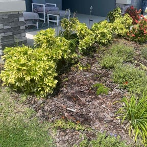 Flower Bed Weeding by Family lawn care reviewed on August 7, 2022