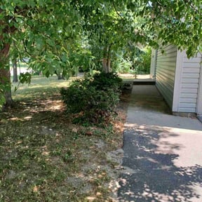Bush Trimming by Soughtafter gc reviewed on January 17, 2022