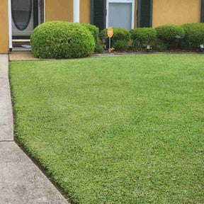 Bush Trimming by A&amp;R Property Preservation reviewed on August 11, 2025