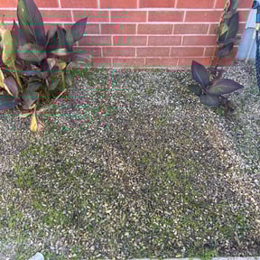 Flower Bed Weeding by Flores Garden Landscapes reviewed on April 12, 2025