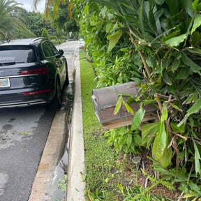 Bush Trimming by Grass Kept Clean &amp; More reviewed on March 17, 2025