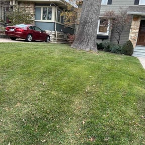 Leaf Removal by PNC Delivery Express reviewed on October 3, 2024