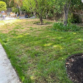Leaf Removal by Sbm reviewed on June 3, 2025