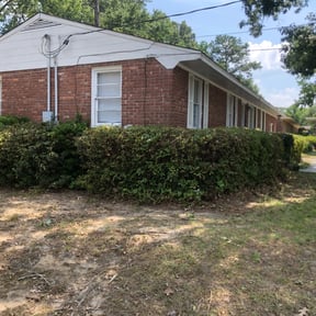 Bush Trimming by #1 grass man reviewed on May 4, 2025