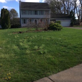 Leaf Removal by POETC 1 reviewed on May 23, 2022