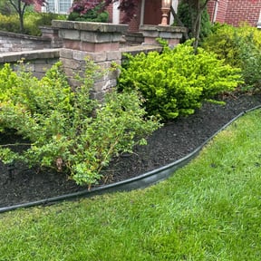 Flower Bed Weeding by Murray's Irish eyes lawn service reviewed on May 25, 2021