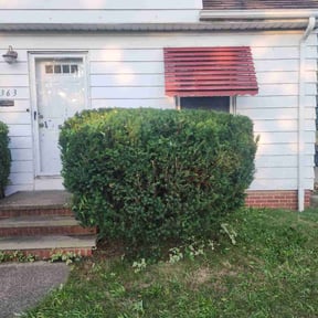 Bush Trimming by The Boom Bros Lawn & Garden reviewed on December 19, 2023