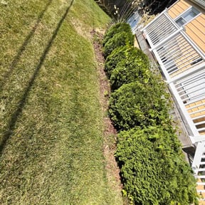 Flower Bed Weeding by D.P.S (Dave Property Services) reviewed on November 20, 2024