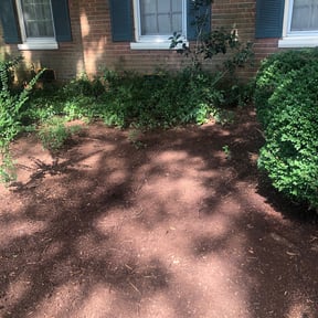 Leaf Removal by Bolinlawncare reviewed on August 30, 2024