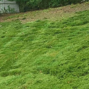 Leaf Removal by Brian The Yard Barber LLC reviewed on April 30, 2022
